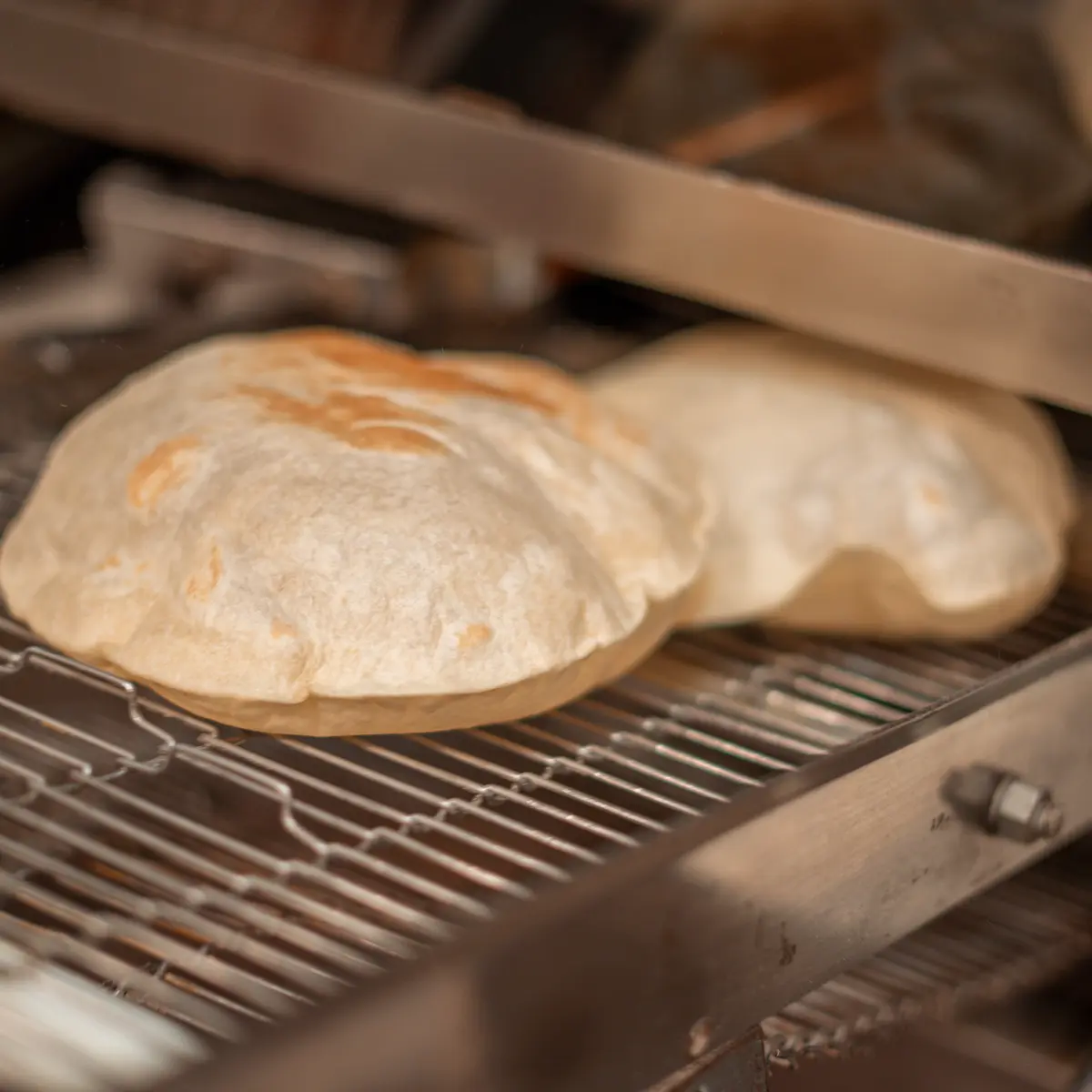 Wheat flour tortillas